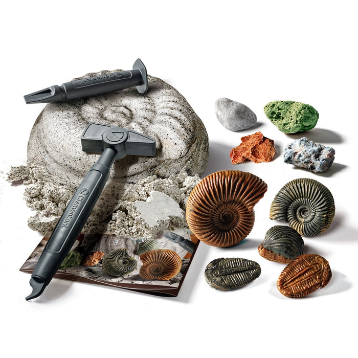 Mini Lab Fossil & Minerals