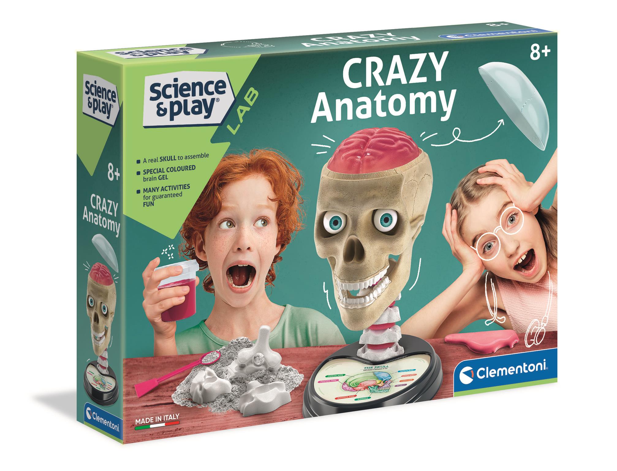 Crazy Anatomy