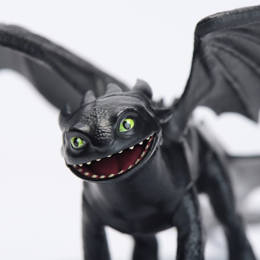 Dreamwork's Dragons Battle Dragons - Toothless
