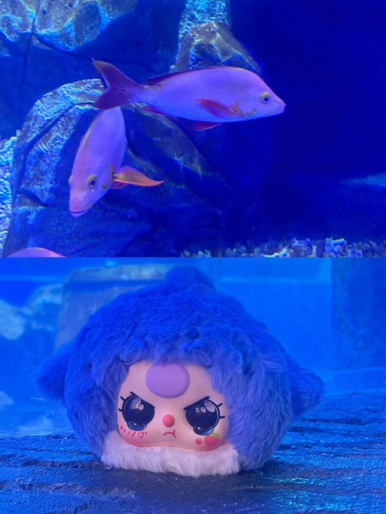 Baby Three - Romantic Ocean