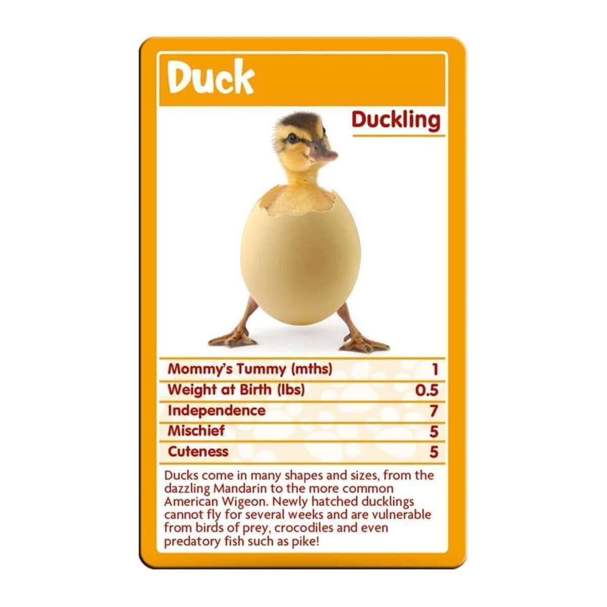 Top Trumps Baby Animals