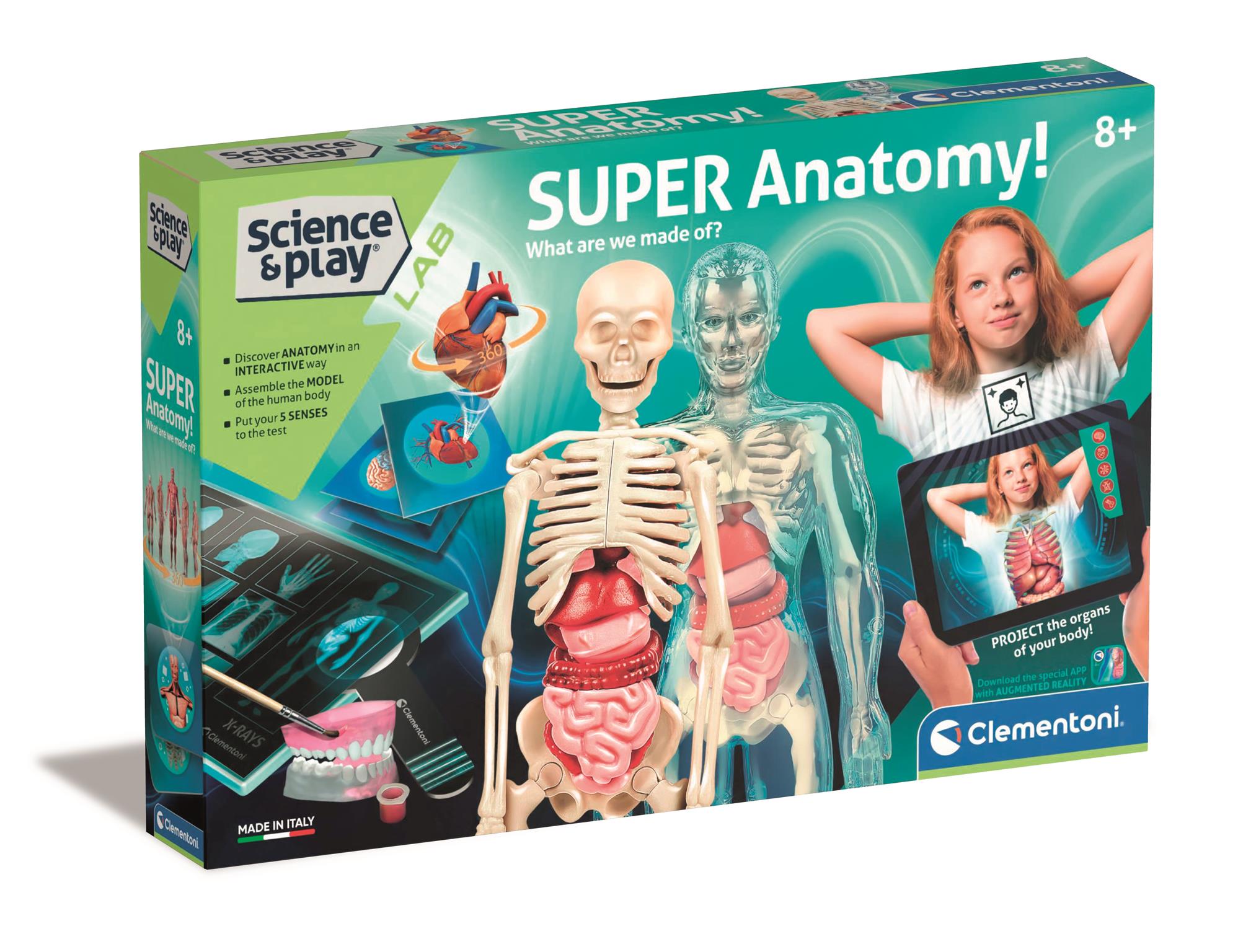 Super Anatomy