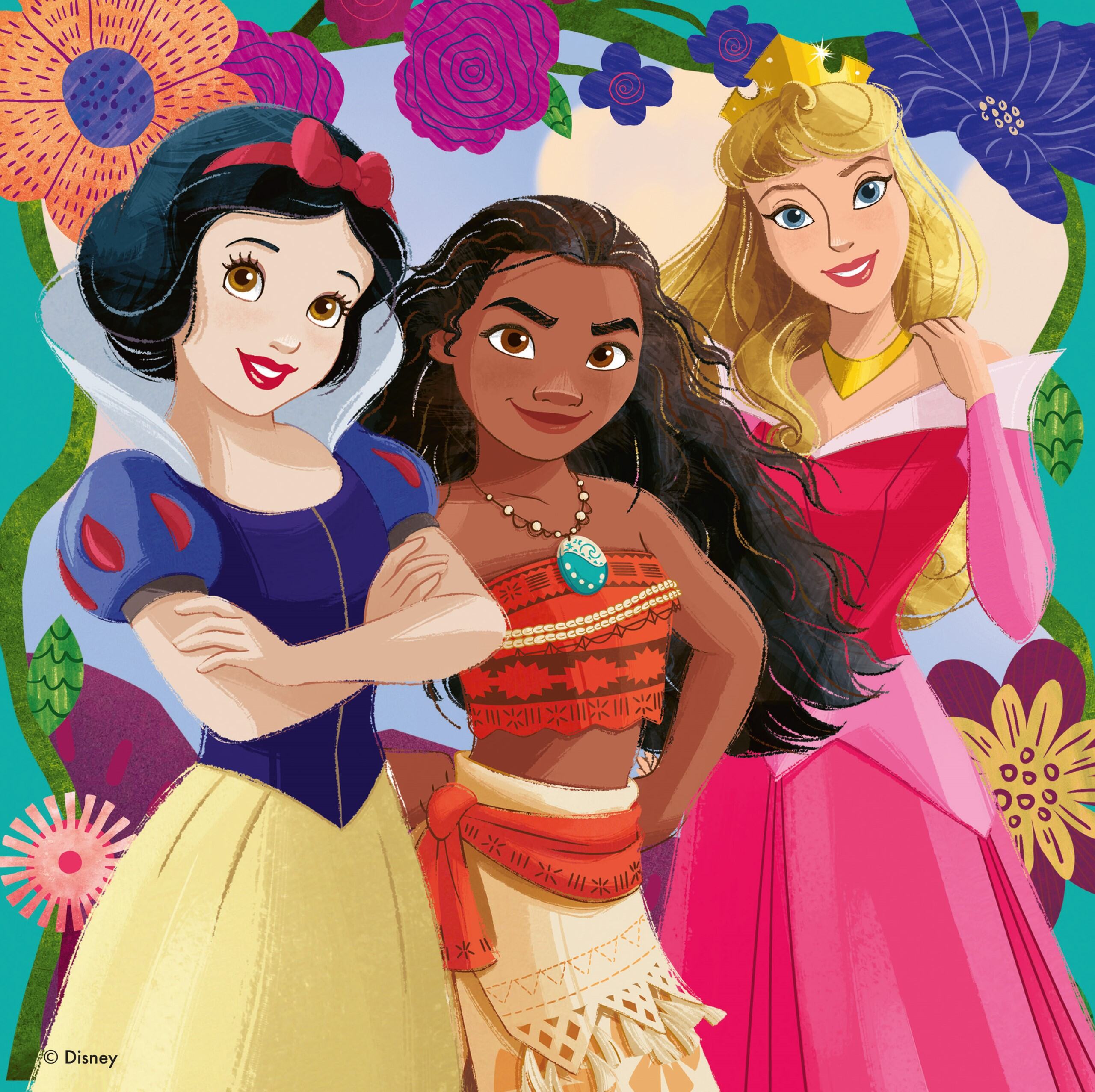 Disney Princess, 3x49pc