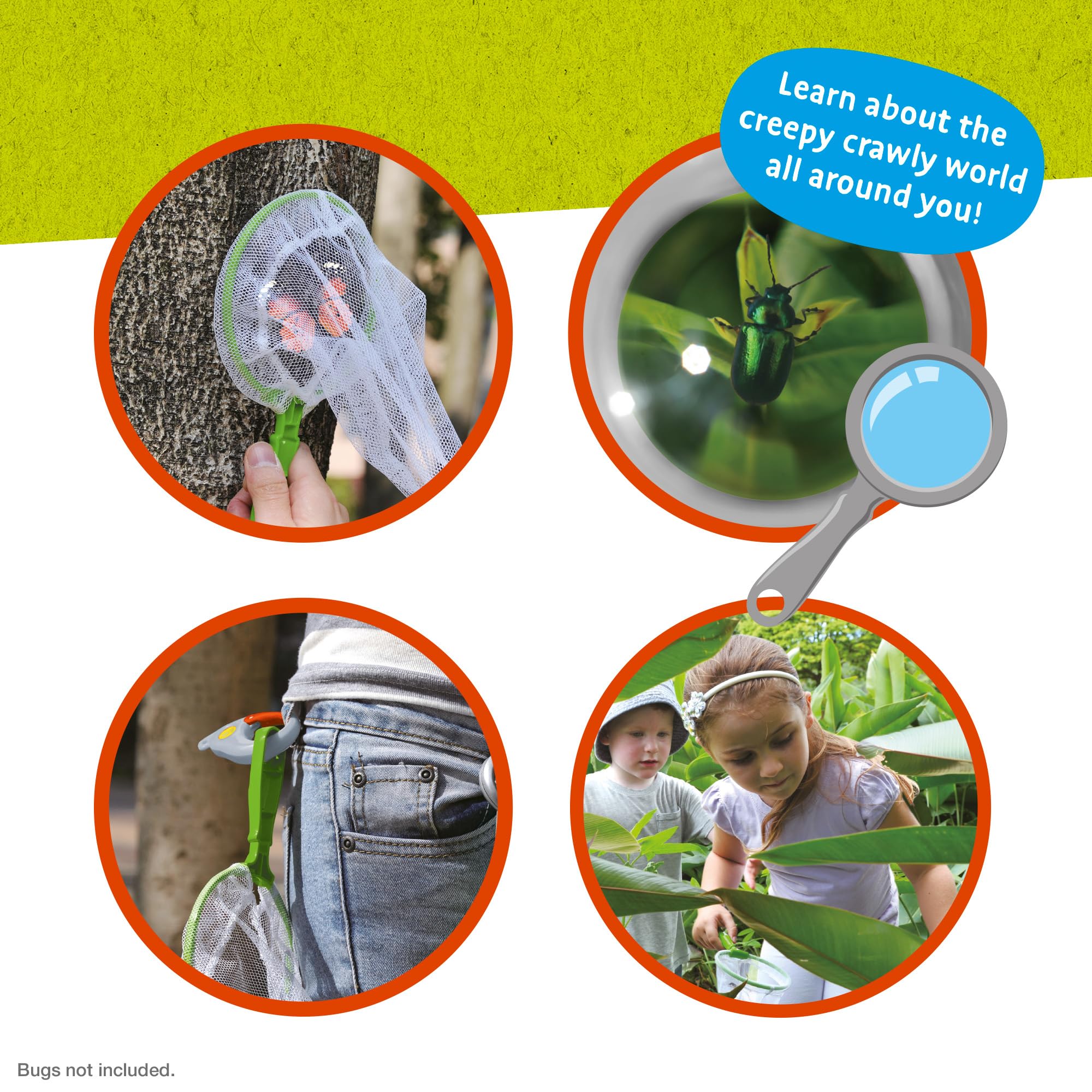 Bug City - Bug Explorer Set