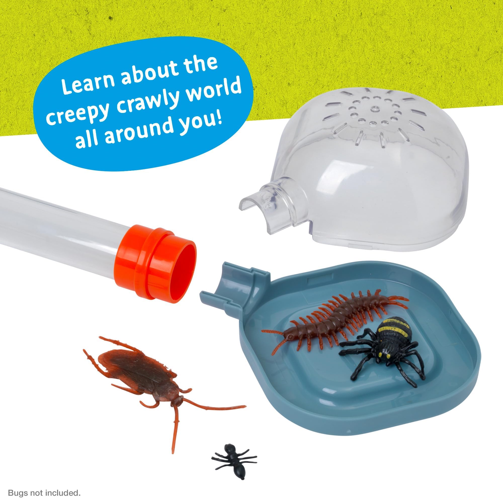 Bug City - Bug Hotel