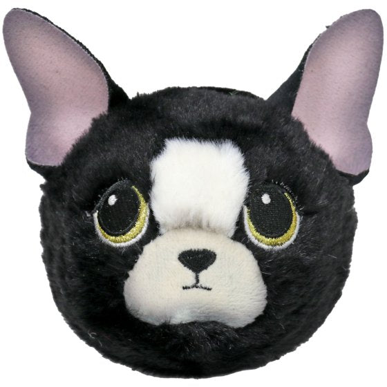 Doodle Chihuahua Beanie Bouncer