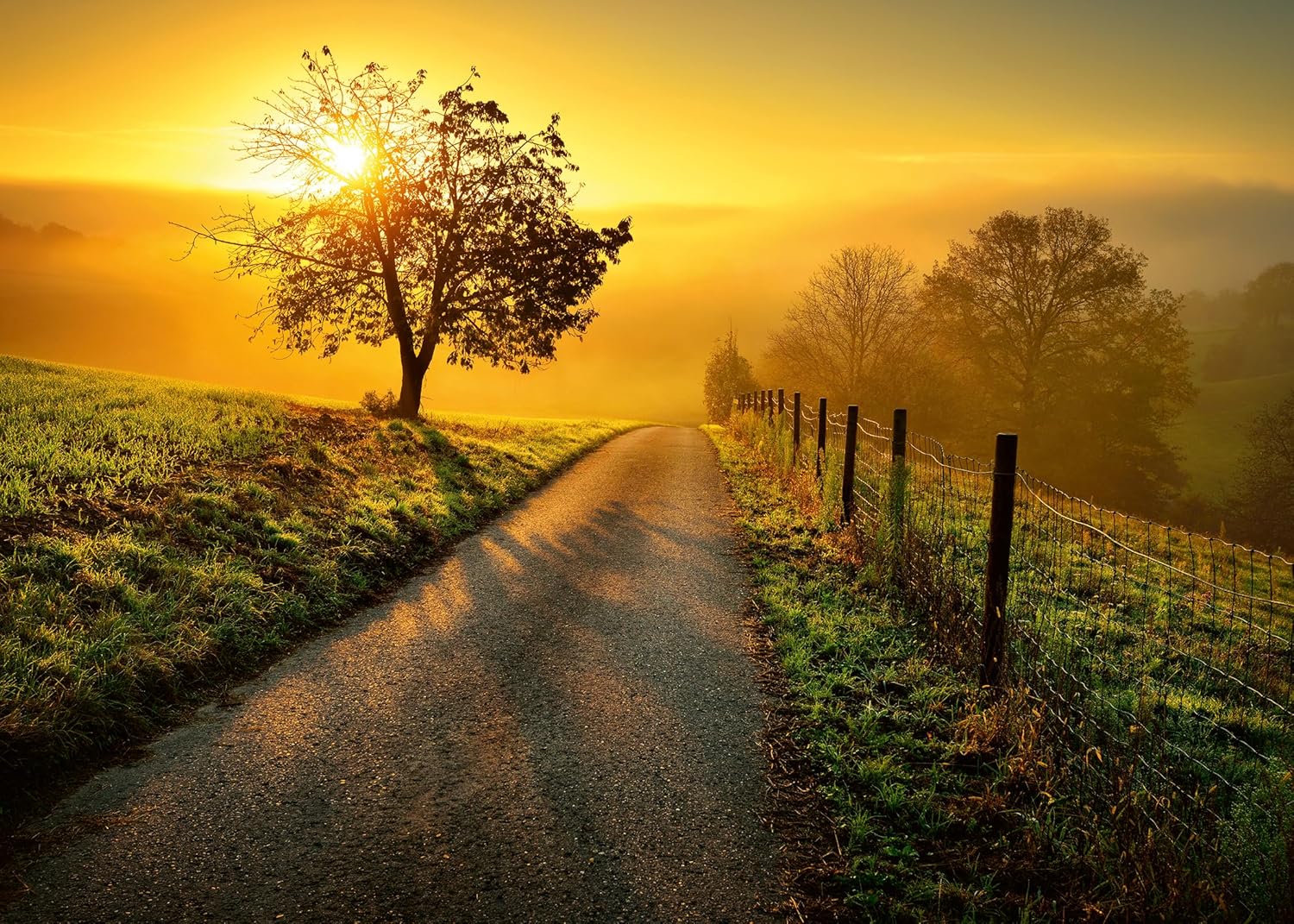 Landscape in the Morning Sun 1000pc puzzle