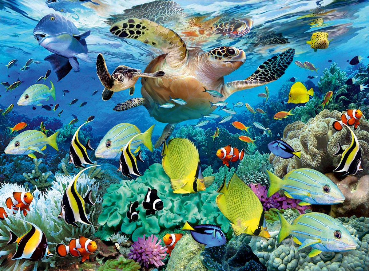 Underwater Paradise, XXL 150pc