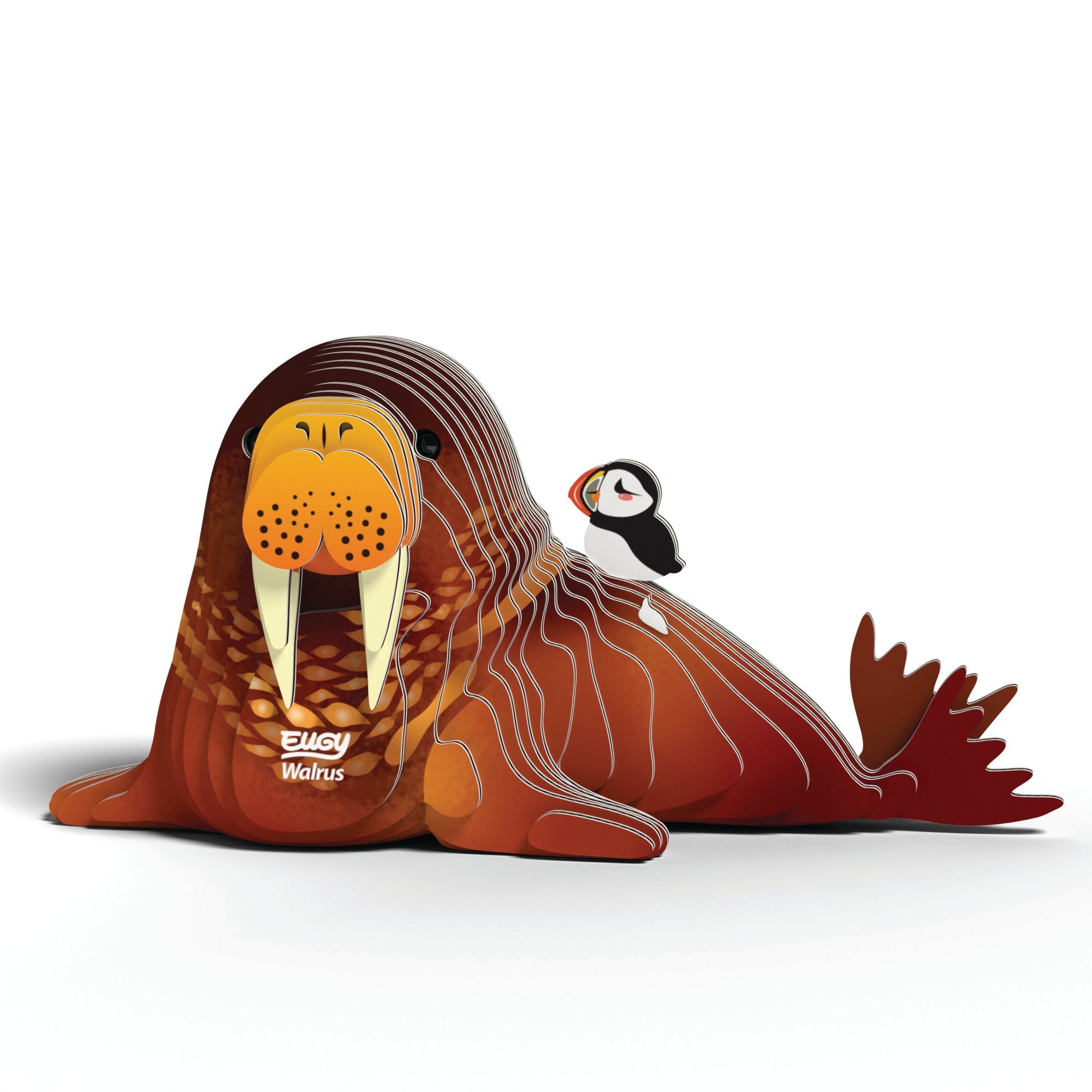 EUGY Walrus