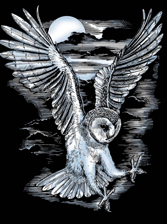 Artfoil Silver Barn Owl