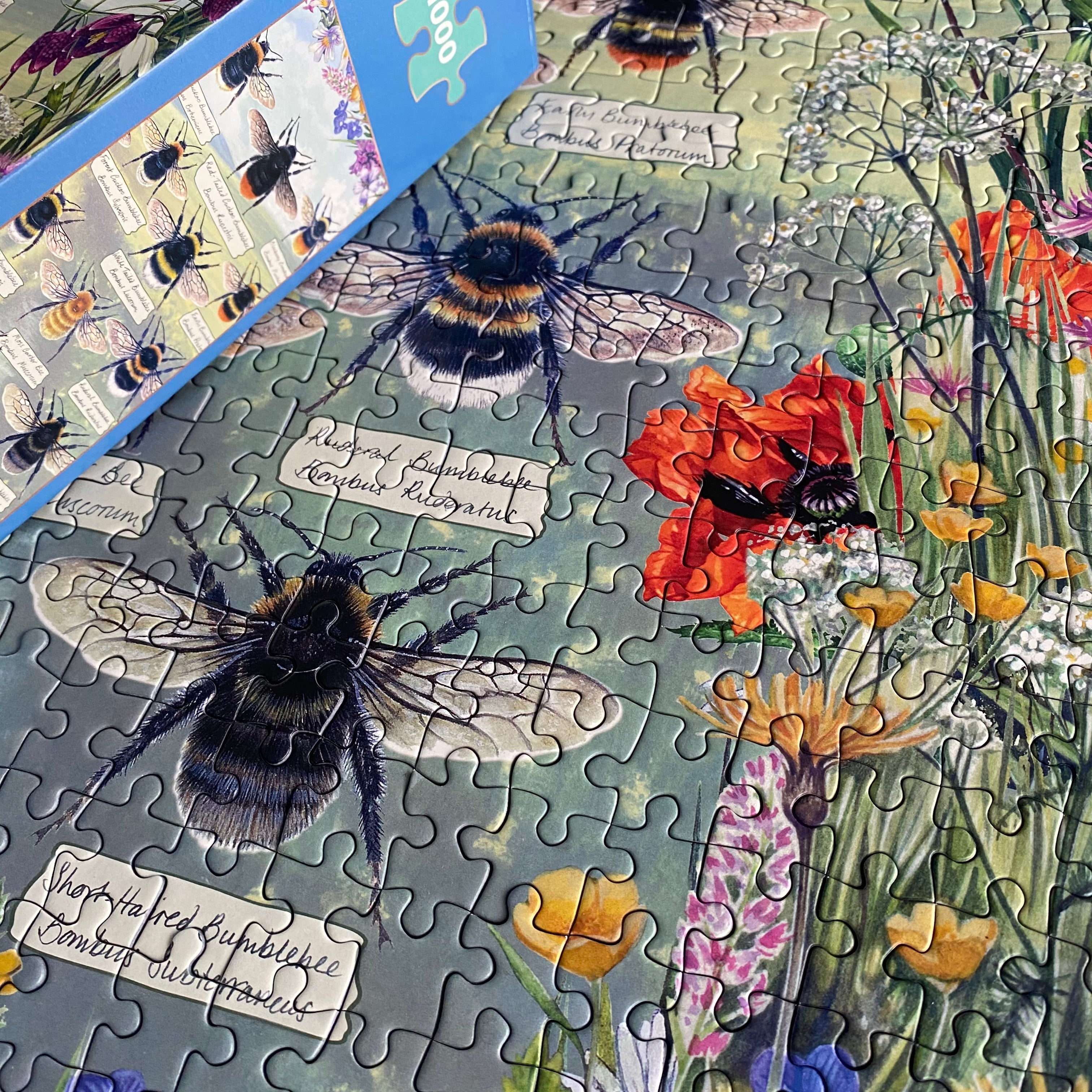 Gibsons Brilliant Bees 1000 piece Jigsaw Puzzle