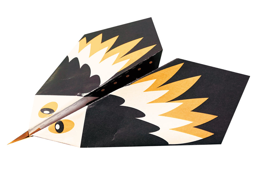 Everyday Craft Origami Plane