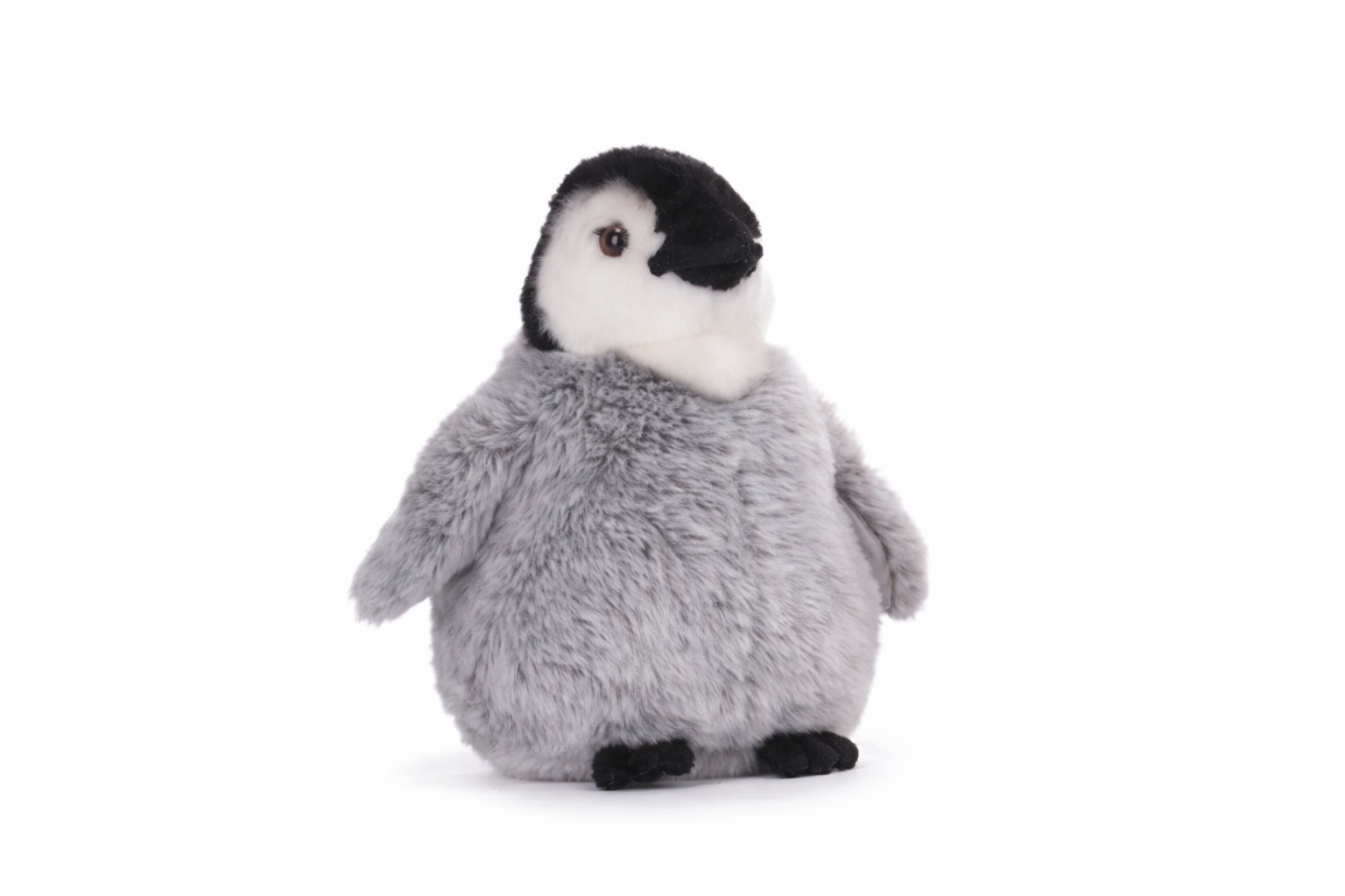 25cm Arctic Wildlife Soft Plush (6 Assortment)