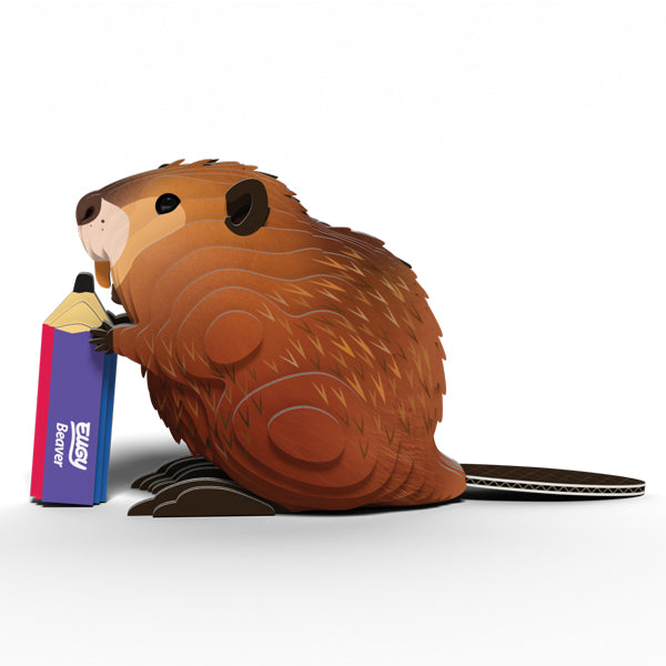 EUGY Beaver