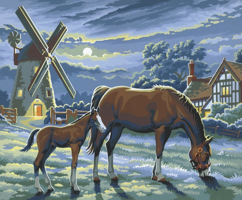 Senior Painting By Numbers Evening Pasture