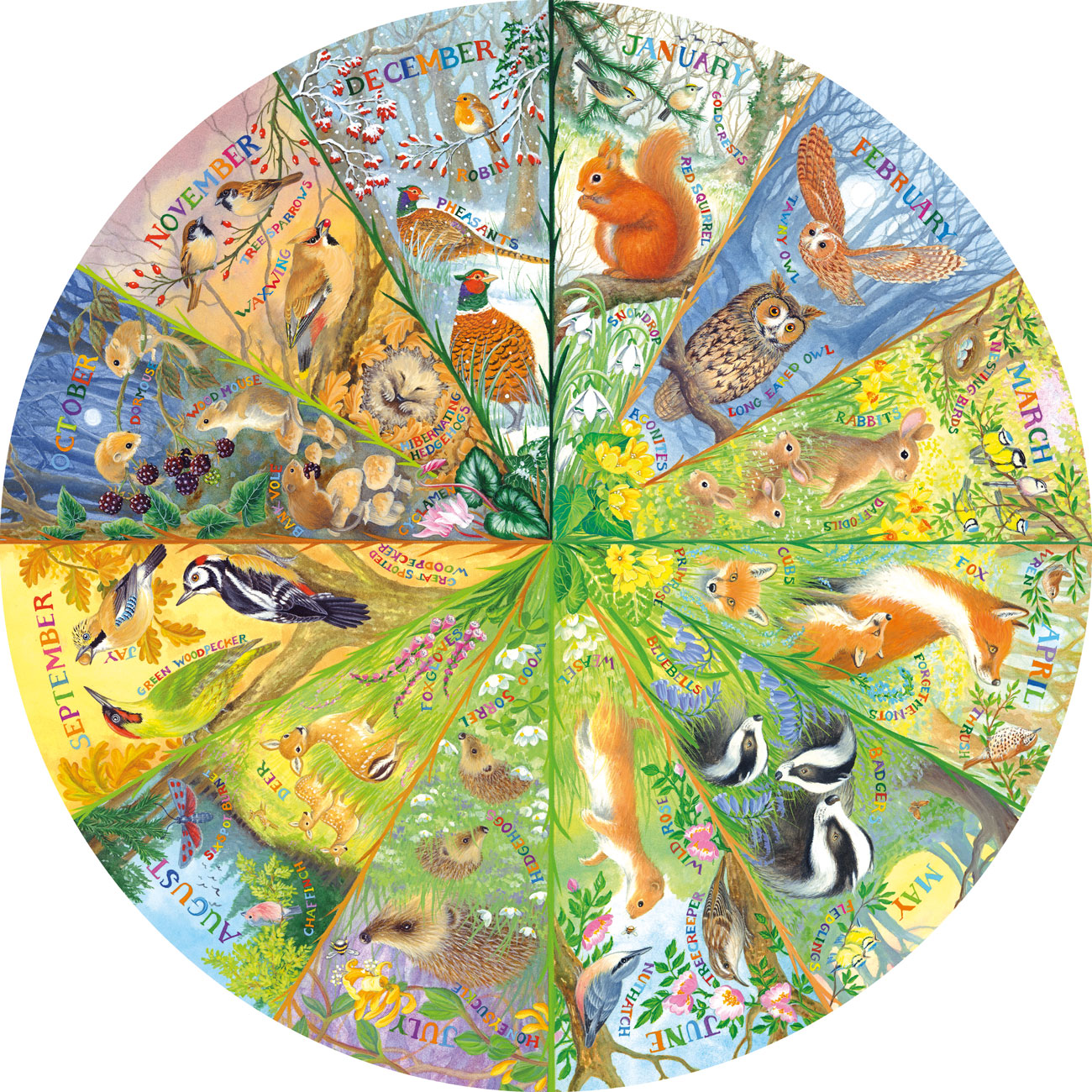 Gibsons National Trust: A Year in the Forest 500 piece Circle Jigsaw Puzzle