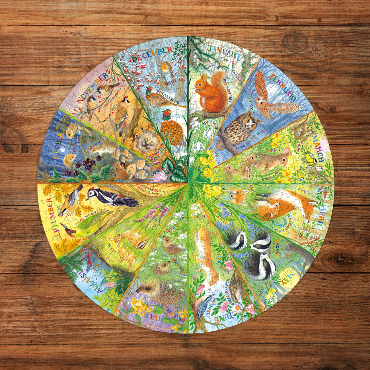 Gibsons National Trust: A Year in the Forest 500 piece Circle Jigsaw Puzzle