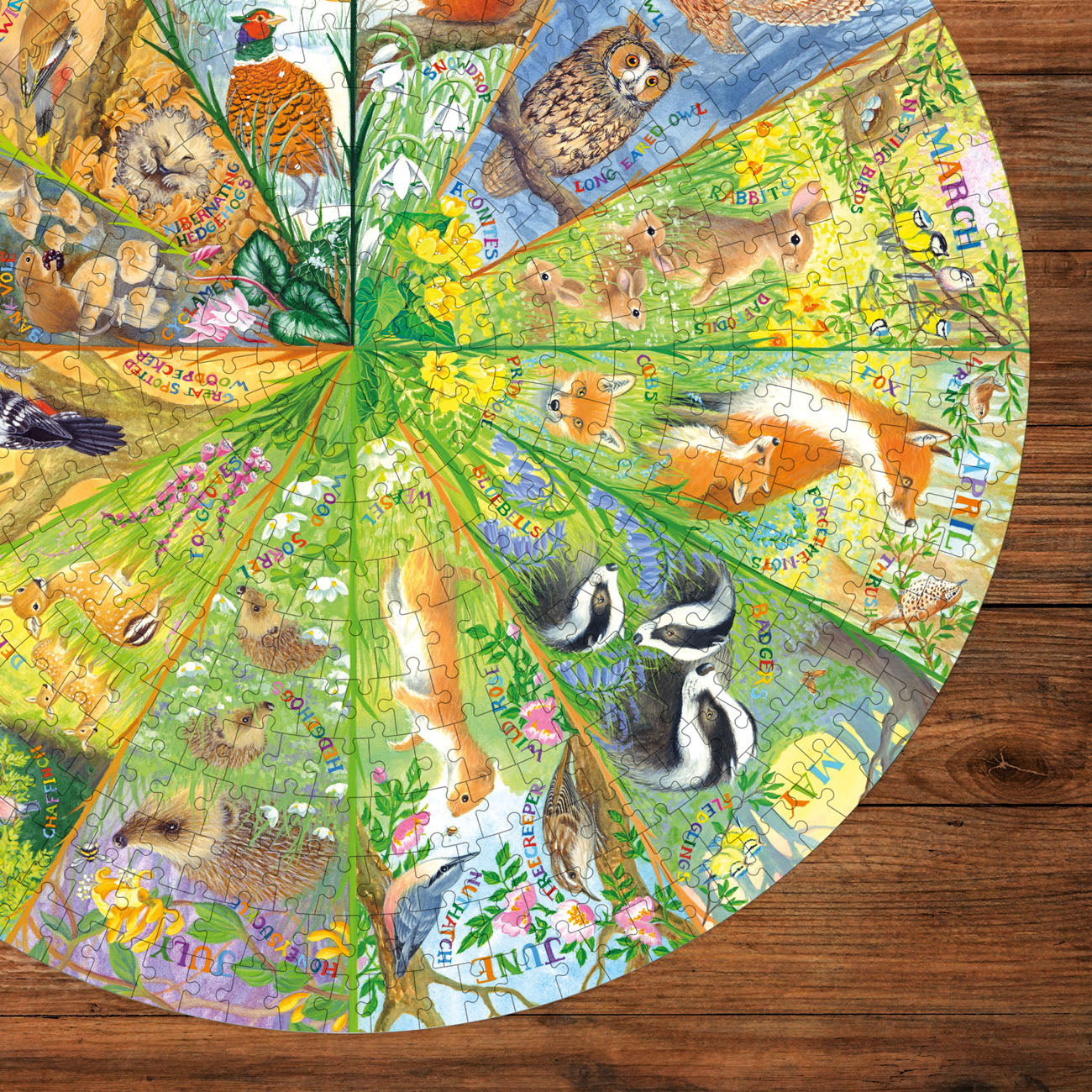 Gibsons National Trust: A Year in the Forest 500 piece Circle Jigsaw Puzzle