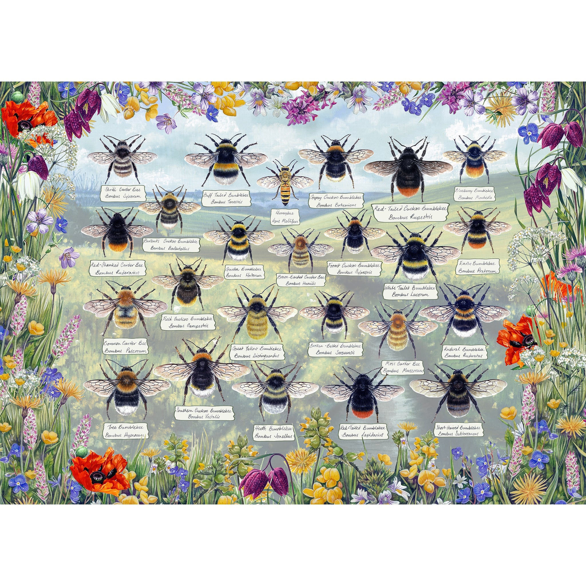 Gibsons Brilliant Bees 1000 piece Jigsaw Puzzle