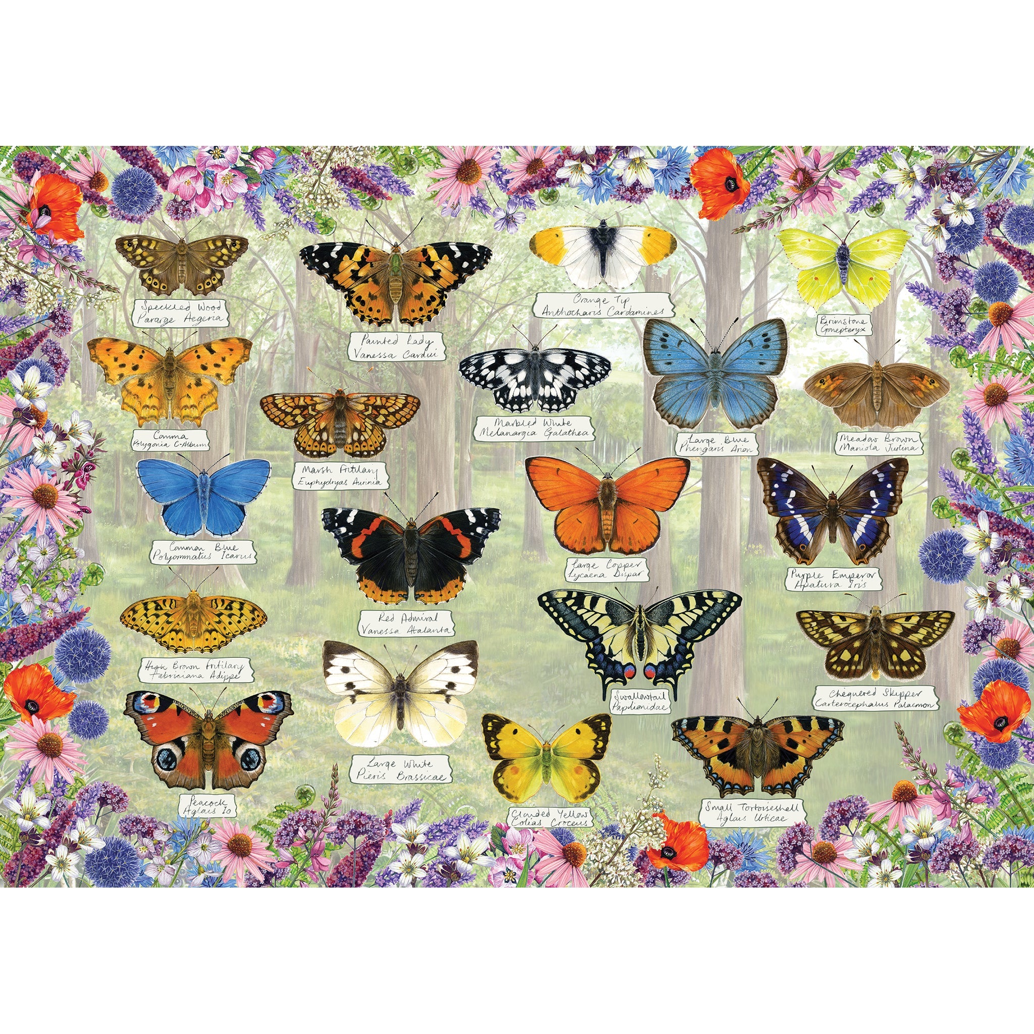Gibsons Beautiful Butterflies 1000 piece Jigsaw Puzzle