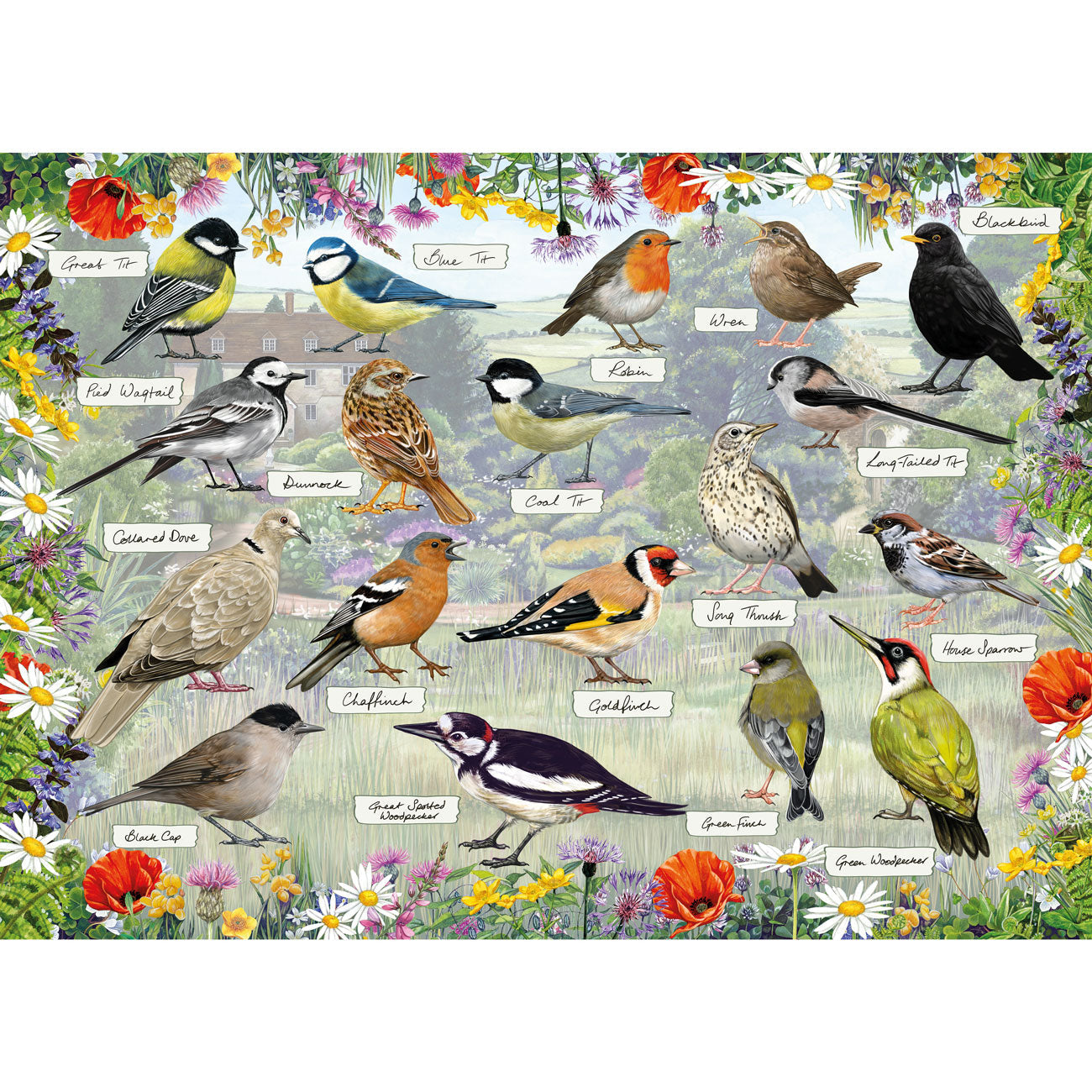 Gibsons RSPB: Blissful Birds 1000 piece Jigsaw Puzzle