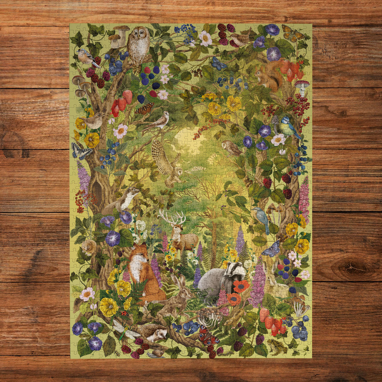Gibsons The Art File: Sunlight Glade 1000 piece Jigsaw Puzzle