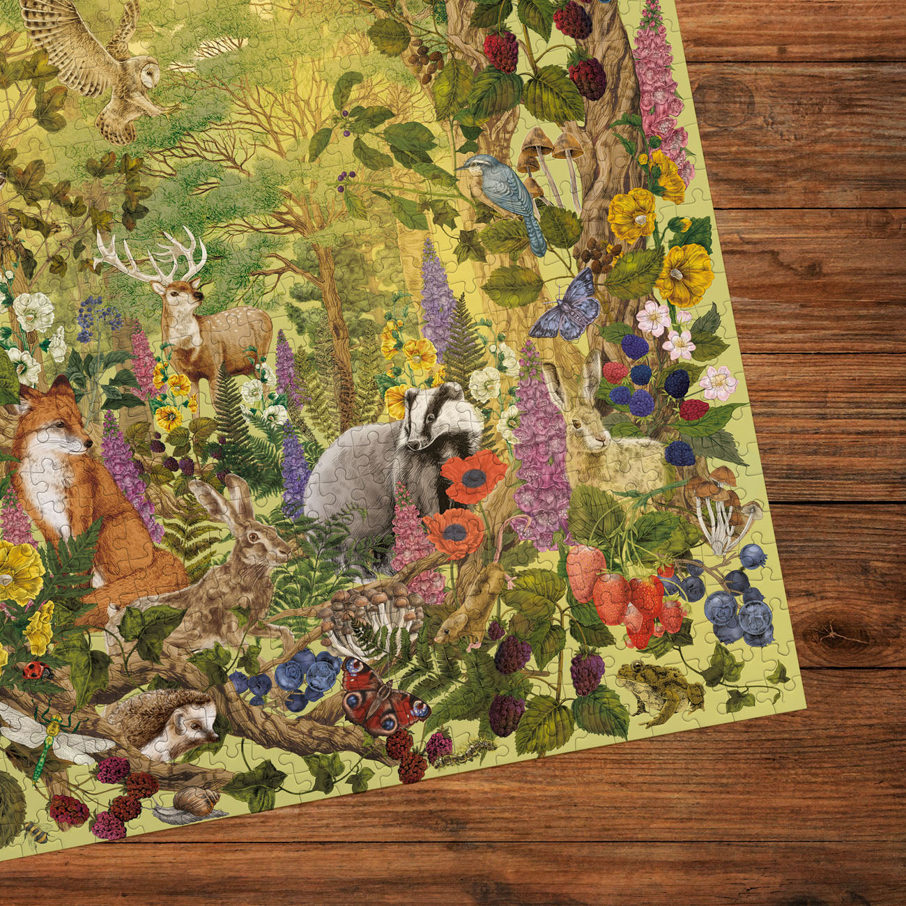 Gibsons The Art File: Sunlight Glade 1000 piece Jigsaw Puzzle