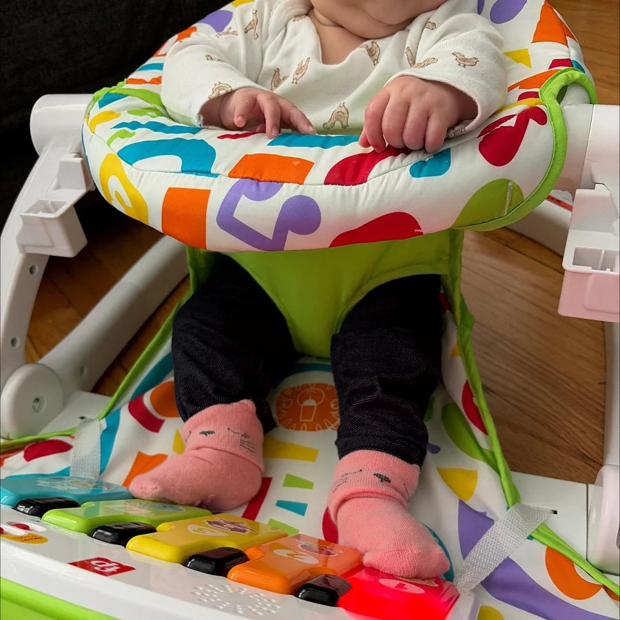 Fisher Price Deluxe Sit Me Up Baby Seat