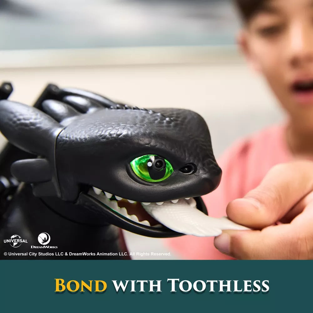 How to Train Your Dragon Interactive Toothless Dragon