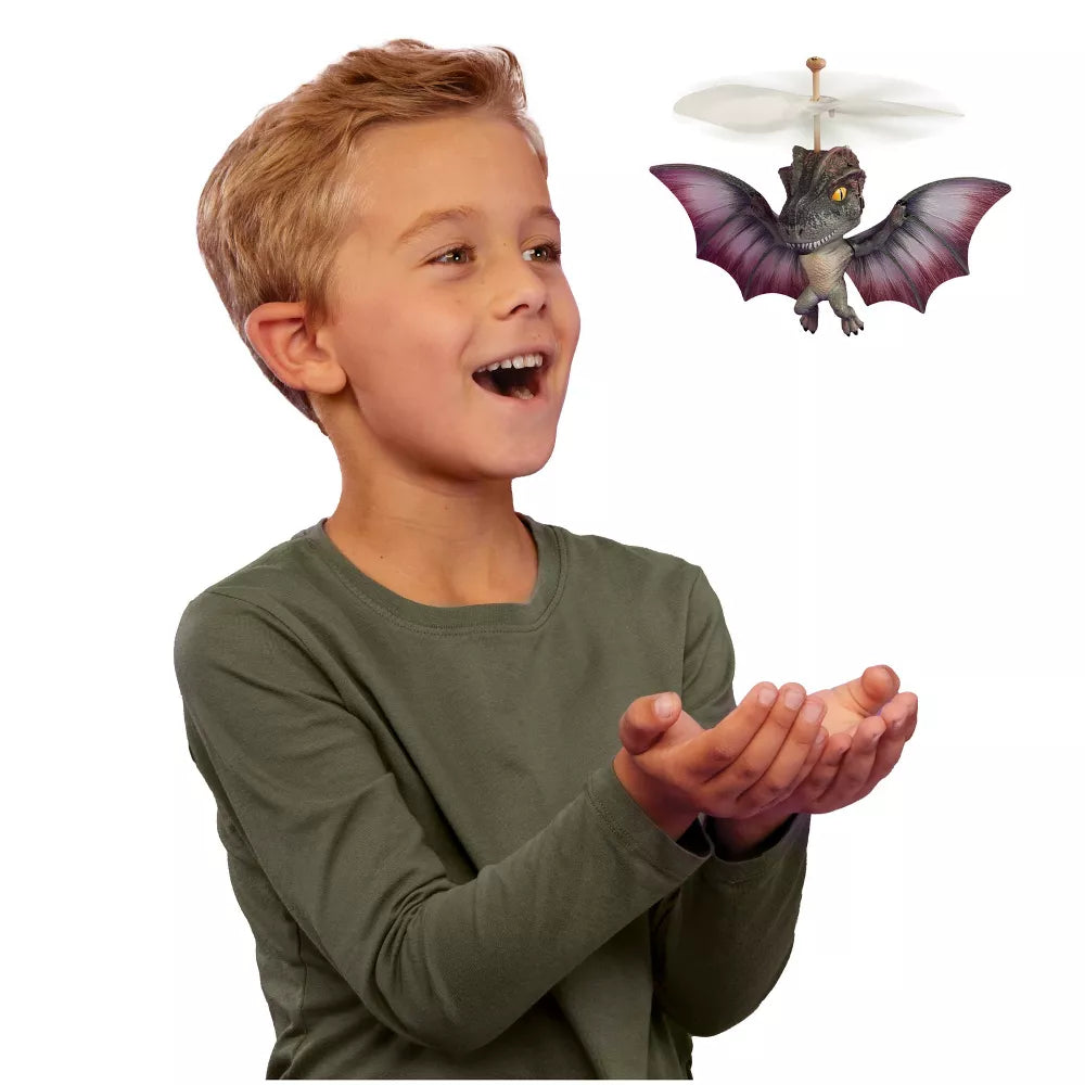 Grossmos Flying Dino Asst