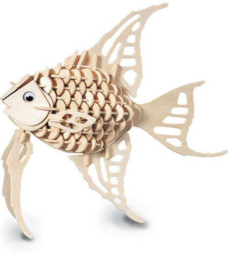Angel Fish