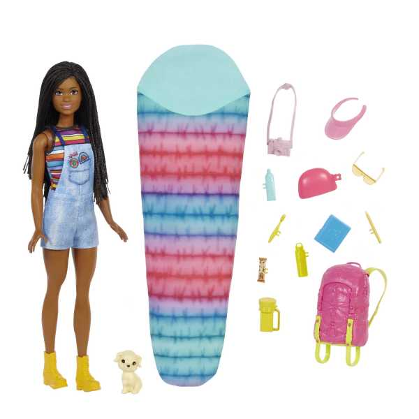 Barbie It Takes Two “Brooklyn” Camping Doll And Accessories