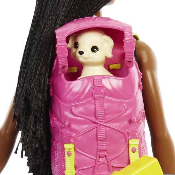 Barbie It Takes Two “Brooklyn” Camping Doll And Accessories