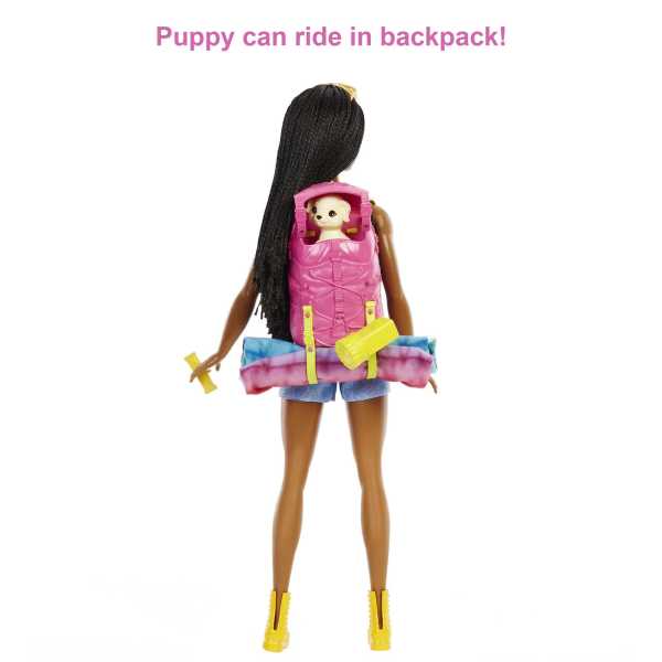 Barbie It Takes Two “Brooklyn” Camping Doll And Accessories