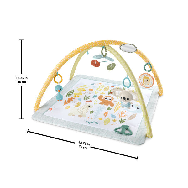 Fisher-Price Simply Senses Newborn Gym