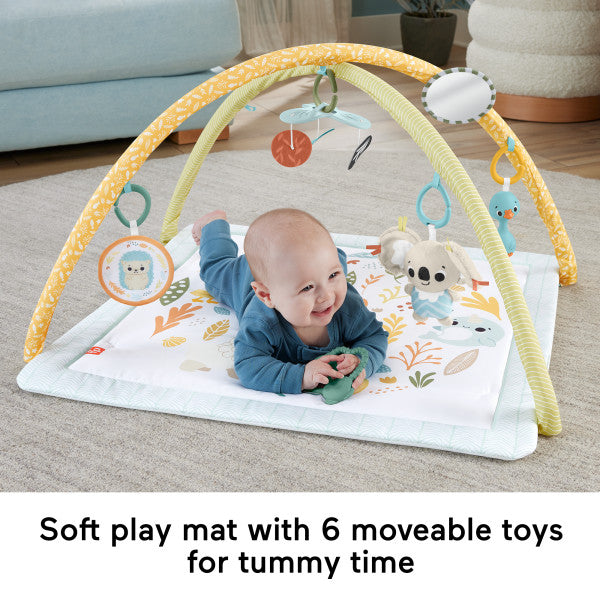 Fisher-Price Simply Senses Newborn Gym