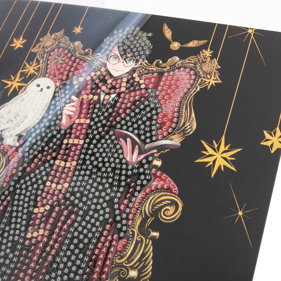 Harry & Hedwig Crystal Art Card