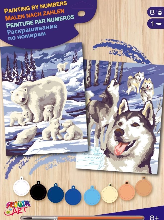 Junior Painting by Numbers Pairs Winter Wildlife