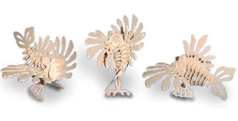 Lion Fish