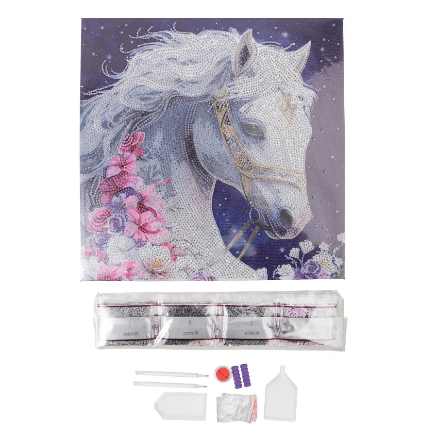 Mystic Beauty, 30x30cm Crystal Art Kit