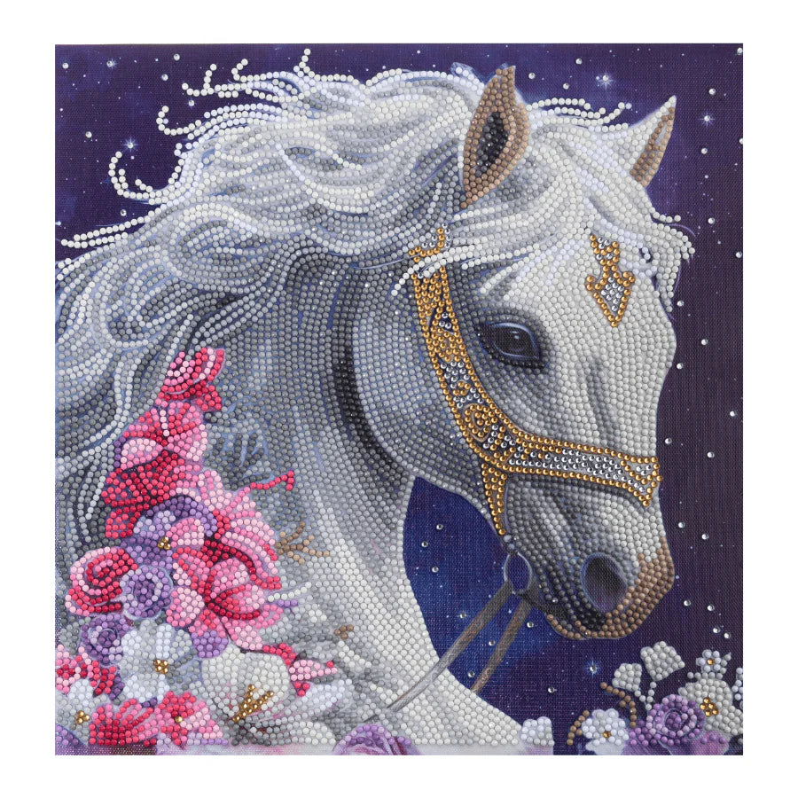 Mystic Beauty, 30x30cm Crystal Art Kit