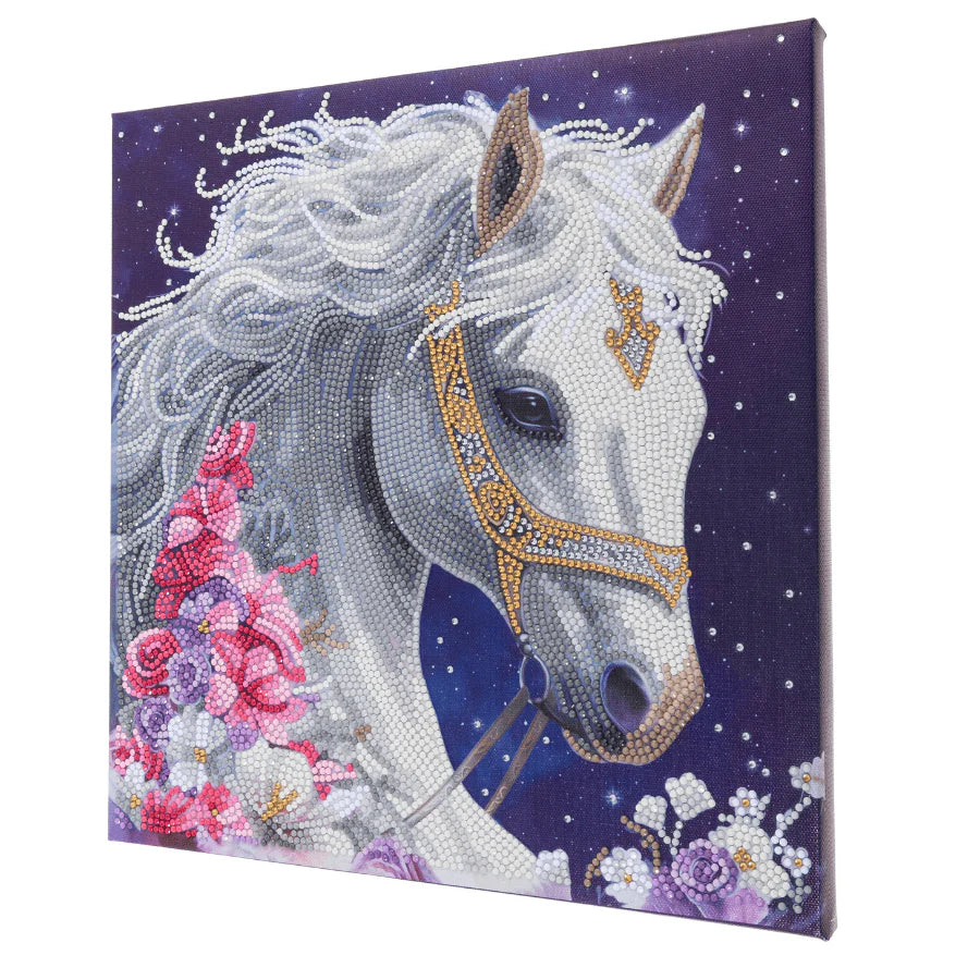 Mystic Beauty, 30x30cm Crystal Art Kit