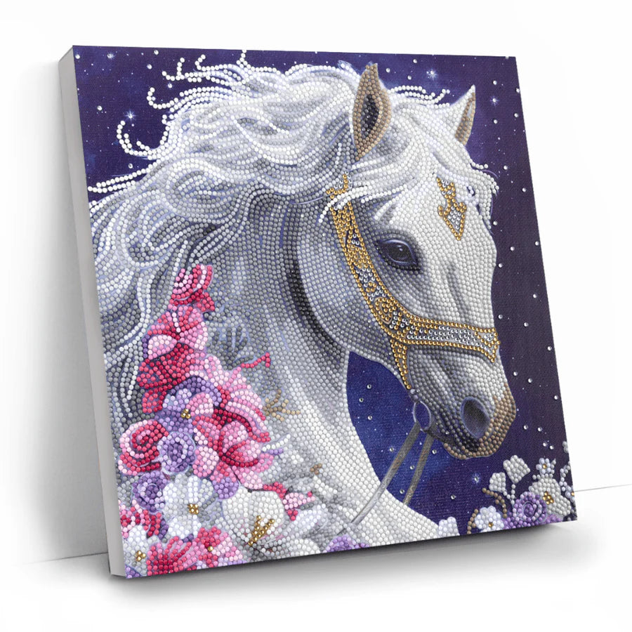 Mystic Beauty, 30x30cm Crystal Art Kit