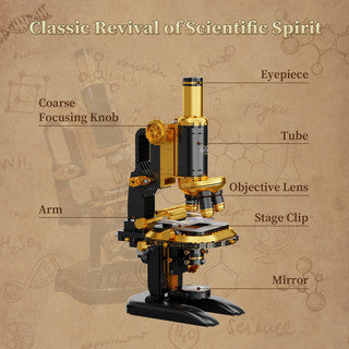Pantasy Retro Microscope Building Block Set with Accessories 1107 Pieces