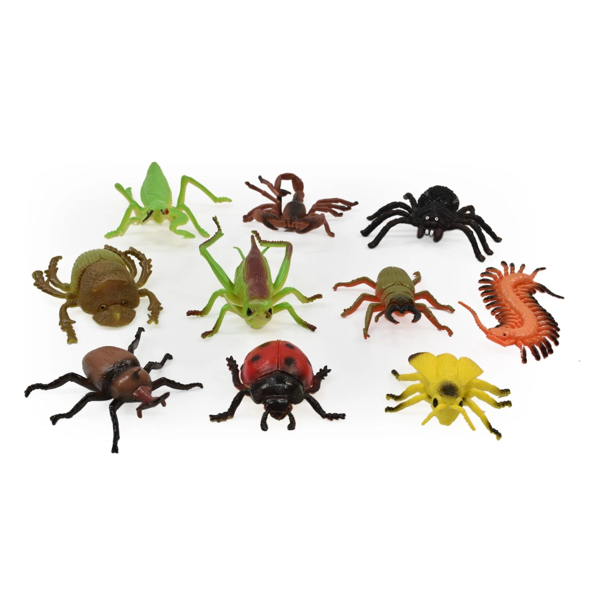 Insect World 10Pc Set