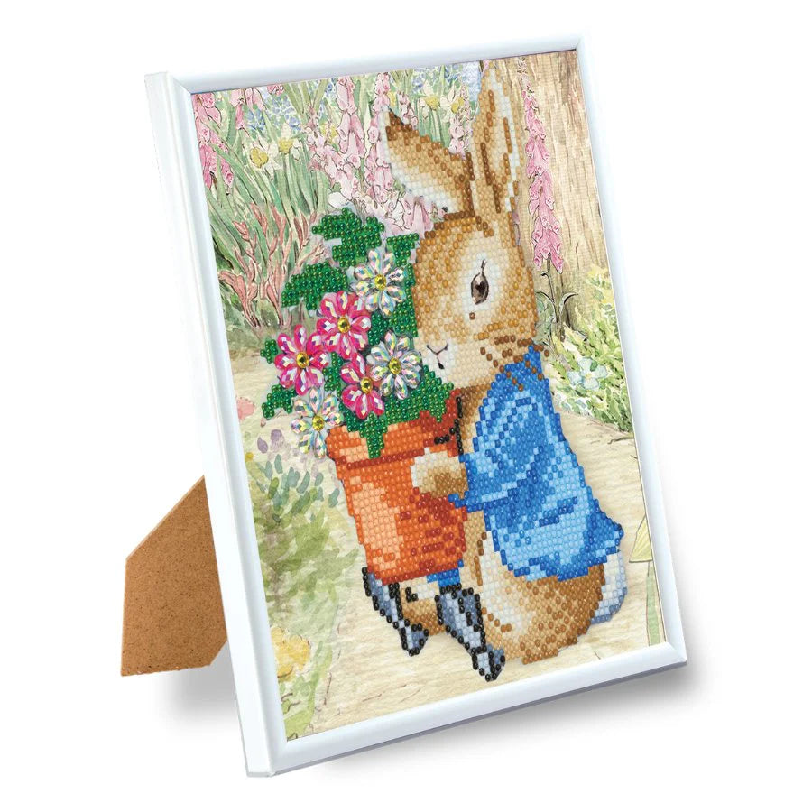 Peter Rabbit Crystal Art Framed Picture Kit 21x25m