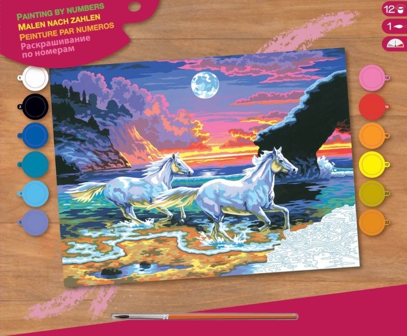 Senior Painting By Numbers Horses in the Surf
