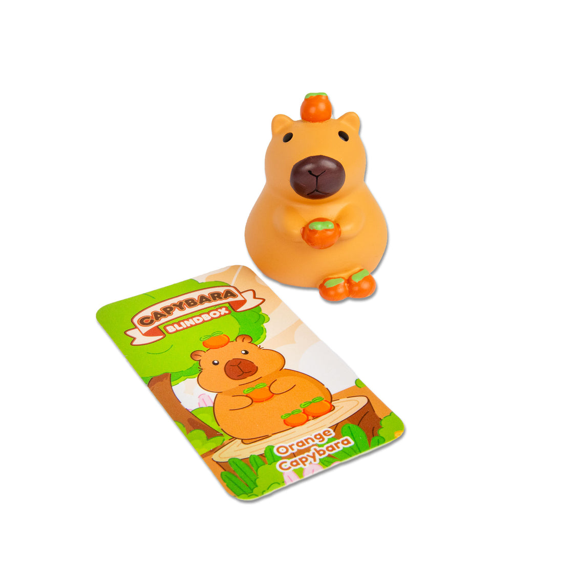 Blind Box Capybara
