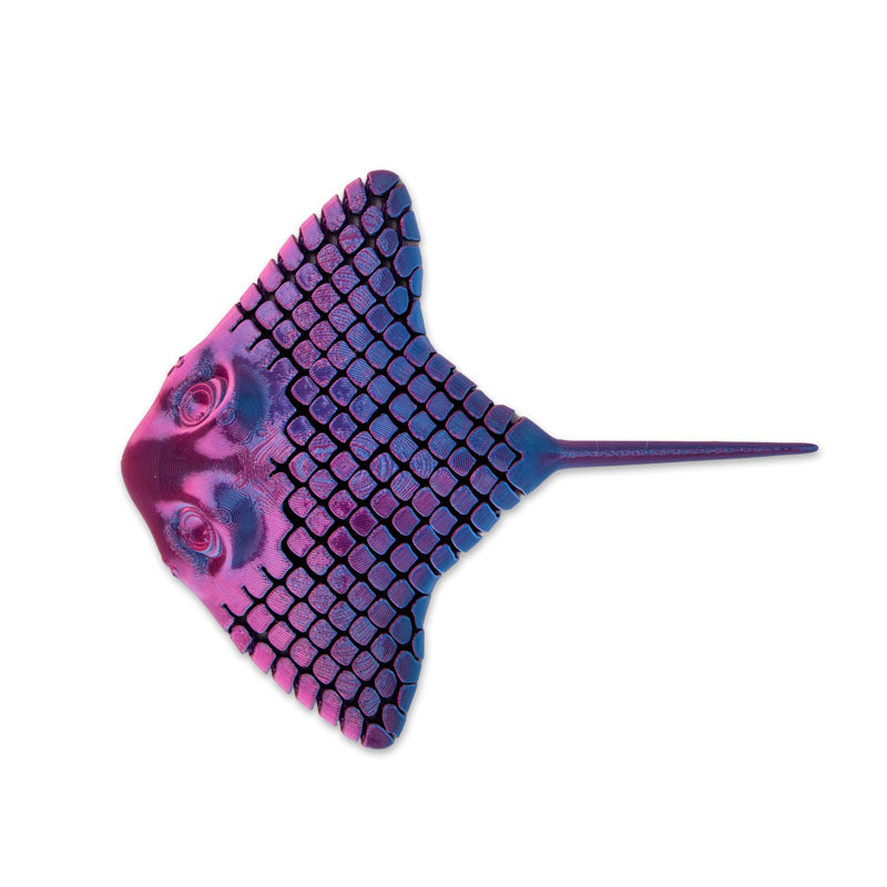 3D Printed Stingray Fidget Toy Assortment