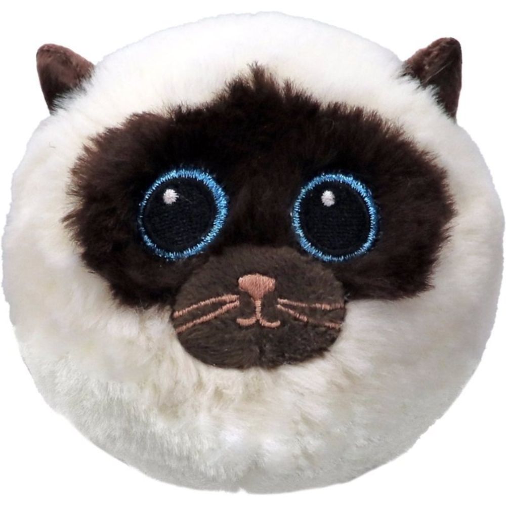 Sammy Siamese Cat